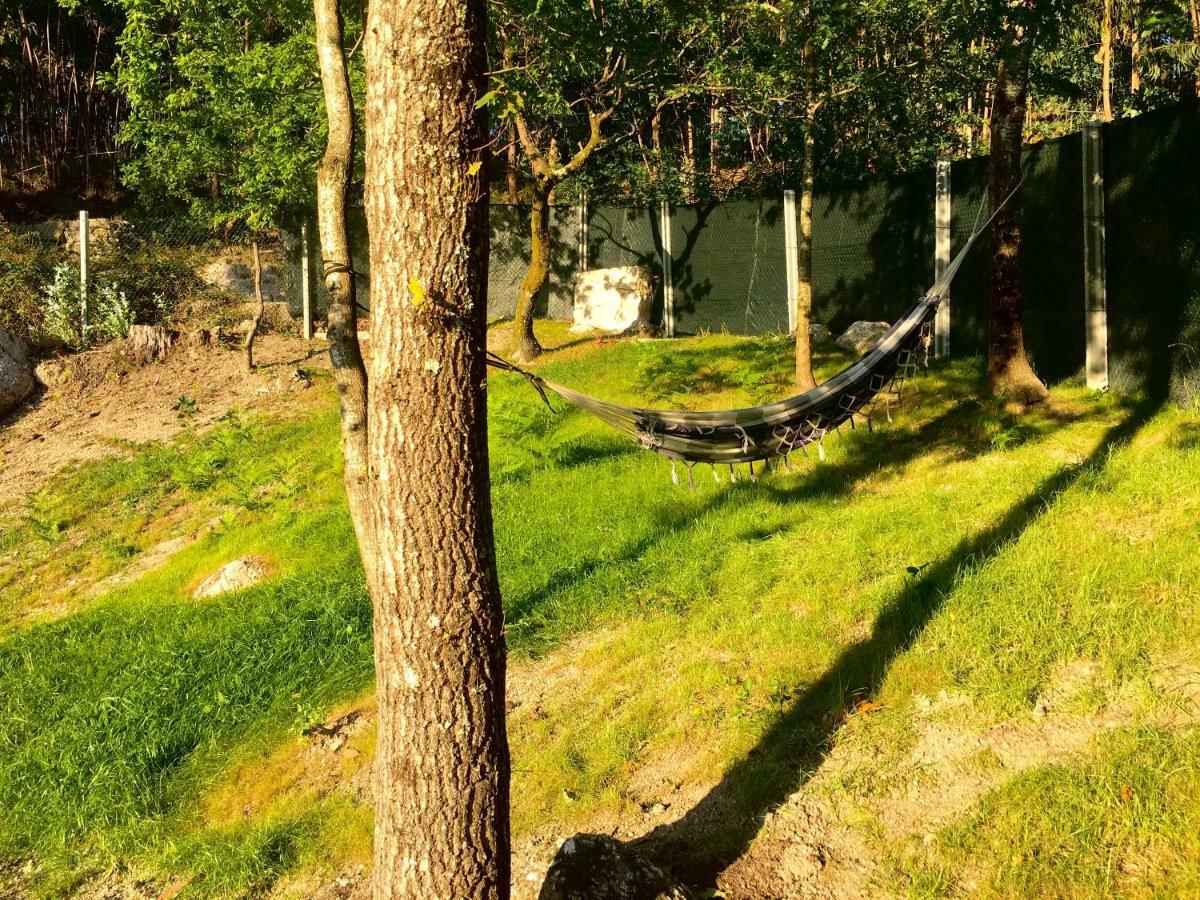 The Green Roof House Vieira do Minho Buitenkant foto